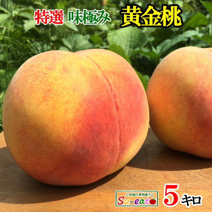 8月中旬～下旬　特選 黄金桃 減農薬 長野県産 5キロ　レビューを書いたら200円クーポン
