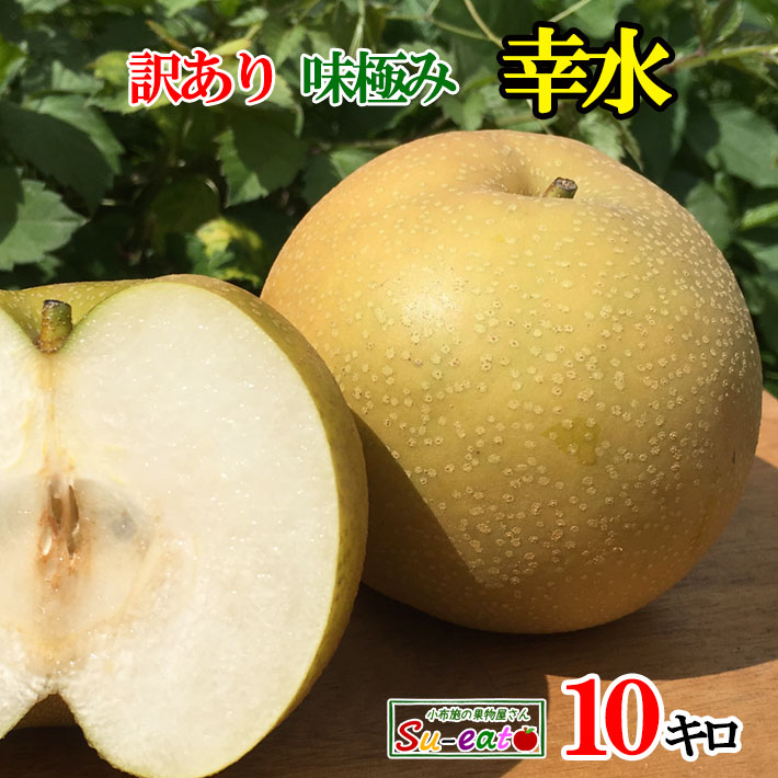 8月下旬～9月上旬　幸水　訳あり 梨 減農薬 長野県産 10キロ　レビューを書いたら200円クーポン