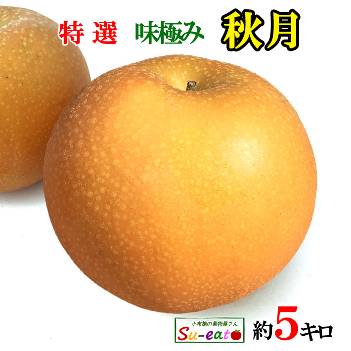 9月下旬～10月上旬　特選 秋月 梨　減農薬 長野県産　6キロ　レビューを書いたら200円クーポン