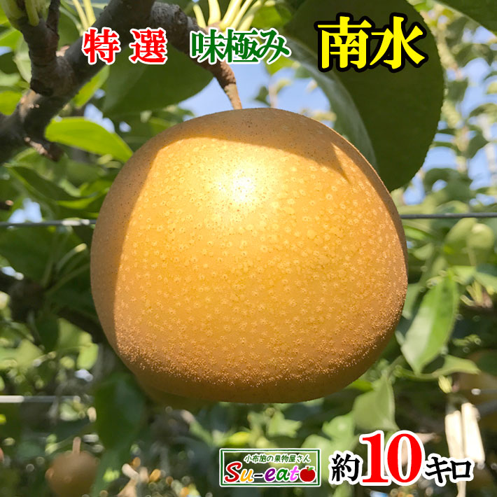9月中旬～下旬　特選  南水　梨  減農薬  長野県産　10キロ　レビューを書いたら200円クーポン