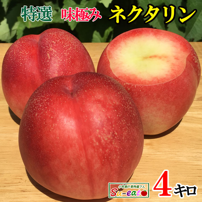本日限定10%OFF 　7月下旬～8月上旬　特選  ネクタリン 減農薬 長野県産  4キロ　レビューを書いたら200円クーポン