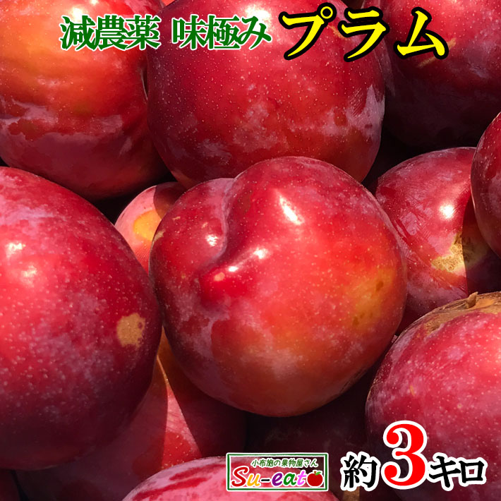 山梨県産 すもも 2L 4キロ プラム Plum 8月上旬〜中旬 サマーエンジェル プラム すもも 減農薬 長野県産