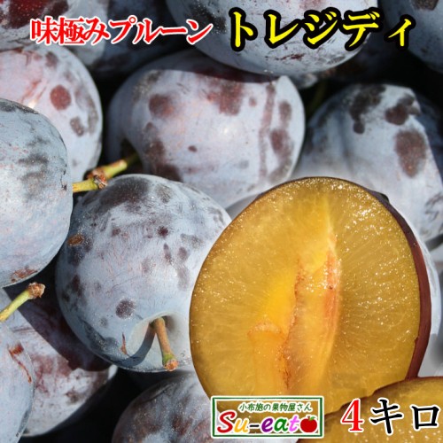 8月上旬～中旬　生プルーン トレジティ　長野県産  4キロ　レビューを書いたら200円クーポン