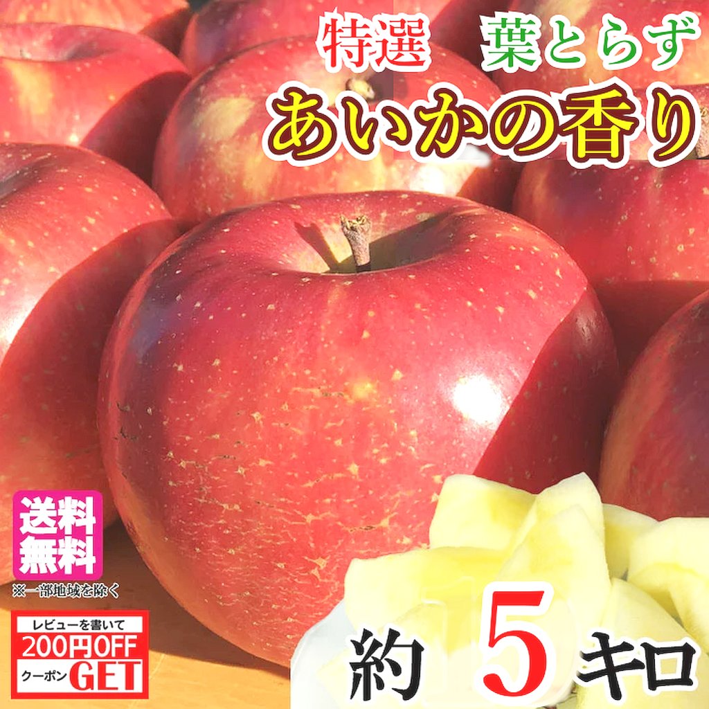 代引可】 11月上旬〜中旬 特選 あいかの香り りんご 減農薬 5キロ qdtek.vn