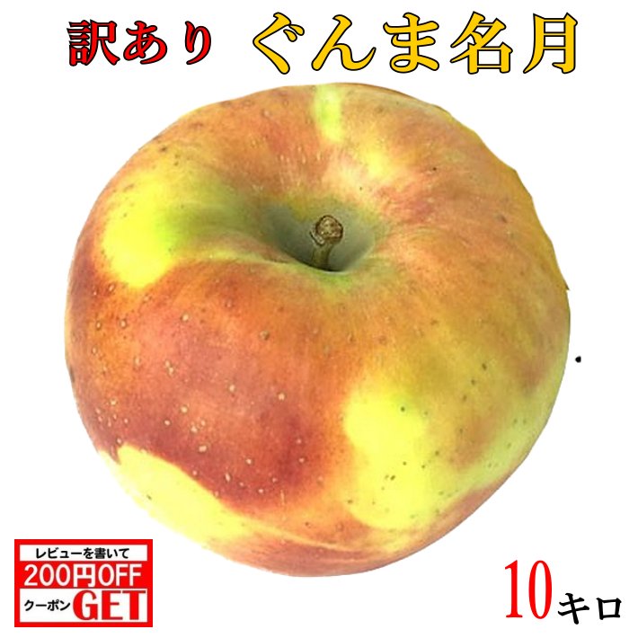 10月下旬～11月中旬　ぐんま名月　りんご 訳あり 減農薬 10キロ