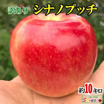 9月下旬～10月上旬　小玉　シナノプッチ りんご  減農薬 長野県産 約9キロ  レビューを書いたら200円クーポン