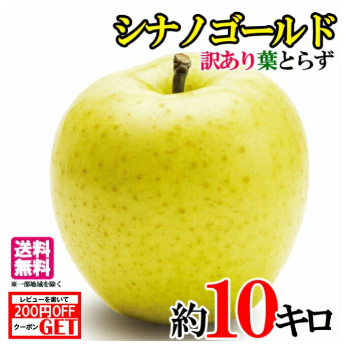 10月中旬～下旬　シナノゴールド　りんご　訳あり 減農薬 10キロ　レビューを書いたら200円クーポン