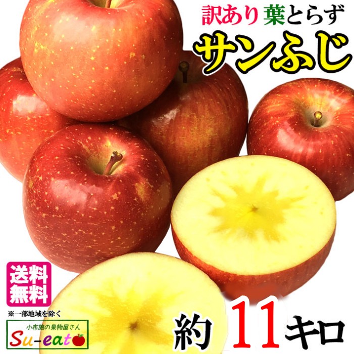 11月中旬～下旬　サンふじ　訳あり  りんご 減農薬 11キロ