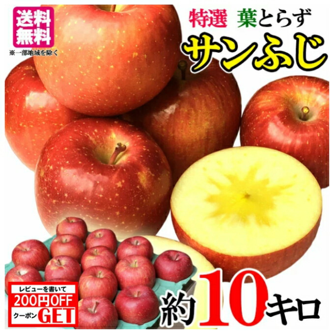 12月 特選  サンふじ りんご　減農薬  長野県産　10キロ