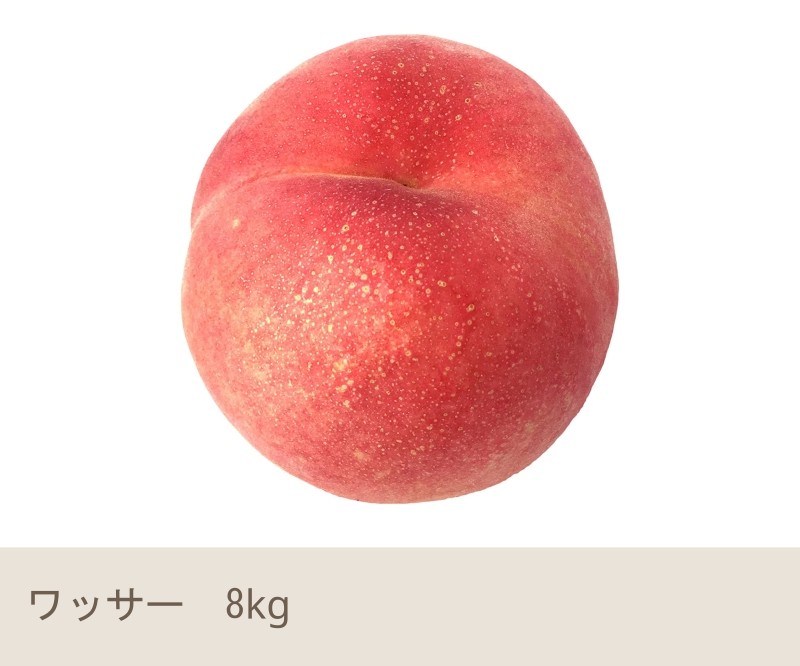 信州長野県産　ワッサー　約4.5kg~5kg　冷蔵便対応