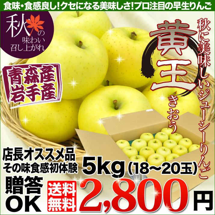 秋の味覚 りんご 黄王（きおう）約5kg(16〜18玉) 訳ありではありません！そのまま食べてももちろんおいしいですが絞って100%ジュースにも！