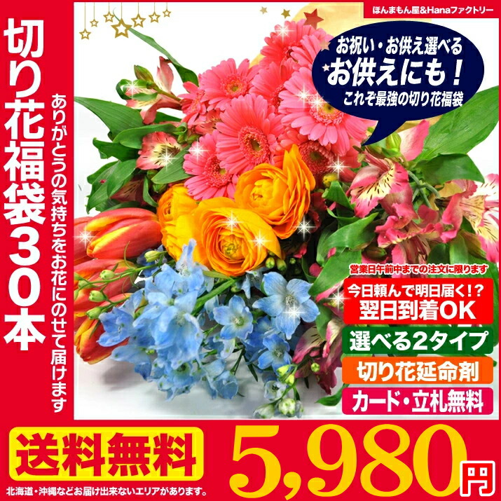 楽天市場】切り花 ハイブリッドユリ 白 1本 切花 生花 HBユリ : Ｈａｎａファクトリー