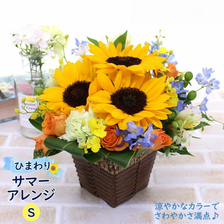 楽天市場】切り花 ひまわり 5本 お色おまかせ 生花 切花 向日葵