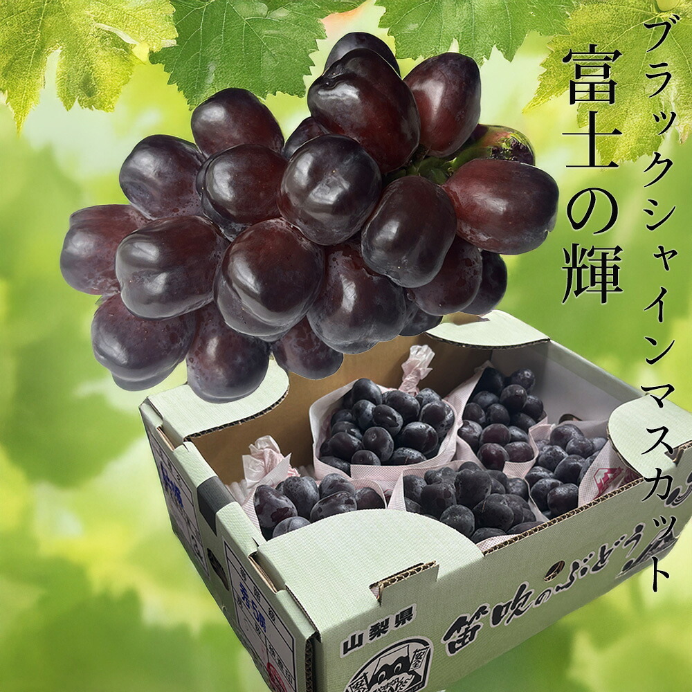 【出荷中!!】ケース 箱売り 山梨 富士の輝 ブラック シャインマスカット 5～7房 約3kg ぶどう 高級 夏 ギフト お祝い お供え 自宅用 お取り寄せ 訳あり 旬 詰め合わせ 【BO】 [富士の輝（ケース）]｜Ｈａｎａファクトリー