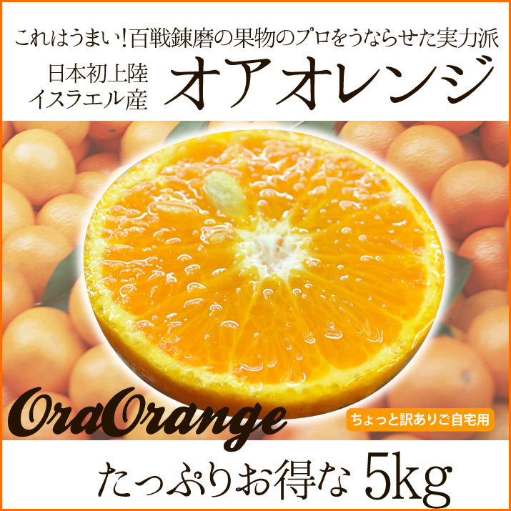 楽天市場 送料無料 みかん感覚で食べられるオアオレンジ 5kg オラオレンジ イスラエル産 ｈａｎａファクトリー
