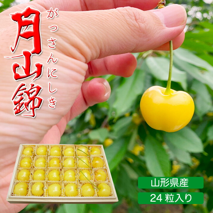 予約 産地直送 さくらんぼ サクランボ 月山錦 化粧箱 幻の黄色いさくらんぼ 桜桃 チェリー 大粒 フルーツギフト プレゼント 贈呈 山形県産 24粒 がっさんにしき [6月月山錦 24粒 特秀2L～3L]  【WI】