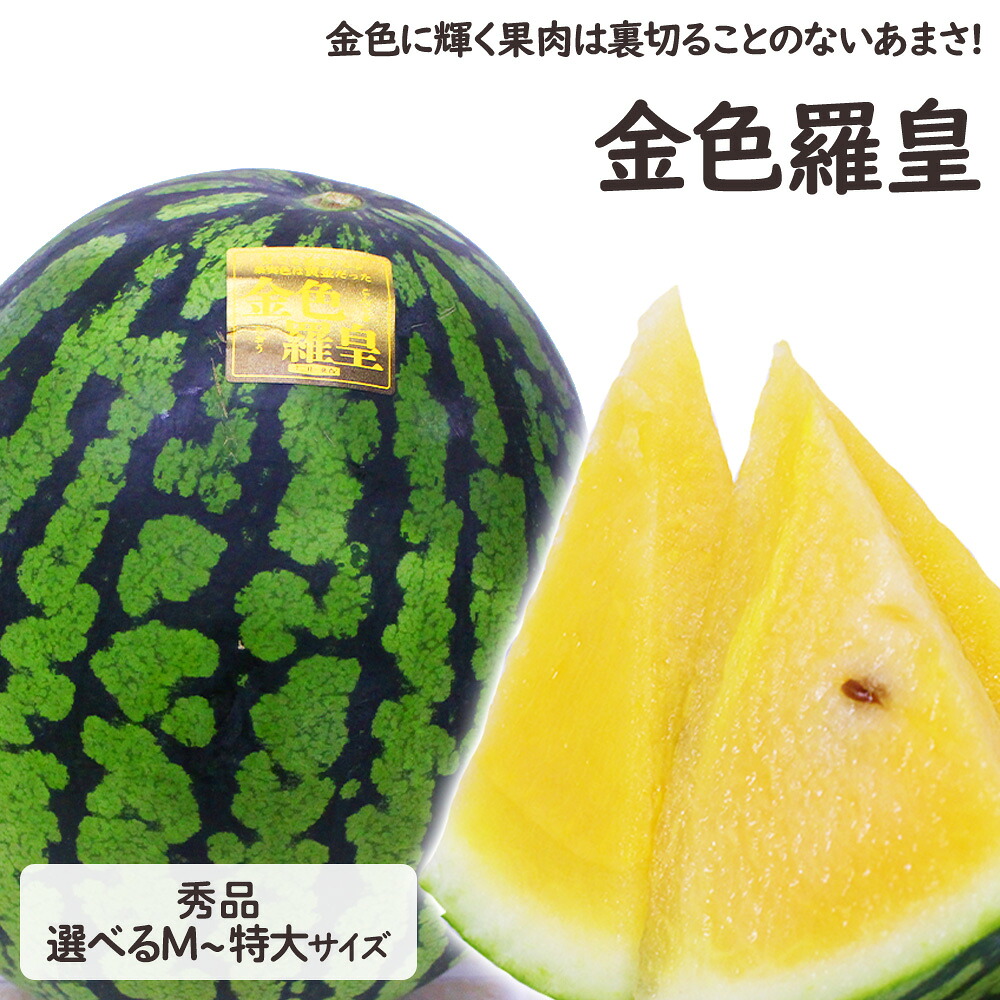 【予約】熊本県産 他 大玉すいか 金色羅皇 1玉 約 5kg ～ 9kg M ～ 3L 超特大 サイズ 選べる 産地リレー スイカ 西瓜 ギフト プレゼント 贈答 お供え 御供 お祝い 御祝 お盆 お礼 御礼 母の日 父の日 感謝【BO】 [金色羅皇 1玉]