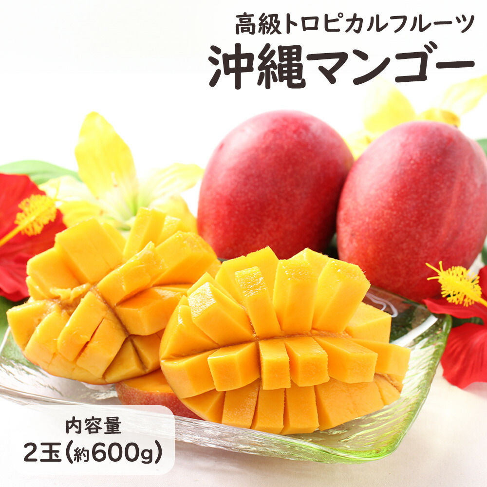【早割中!!】沖縄産アップルマンゴー 2玉 600g あま～くてとろける！セレブ御用達のアップルマンゴー お中元 暑中見舞い お祝い お供え お礼 感謝 ギフト プレゼント [沖縄マンゴー2玉（600g）]【MR】