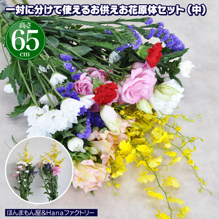 楽天市場】スプレーカーネーション Sカーネ 5本 切花 生花 切り花 造花ではありません お色おまかせ : Ｈａｎａファクトリー