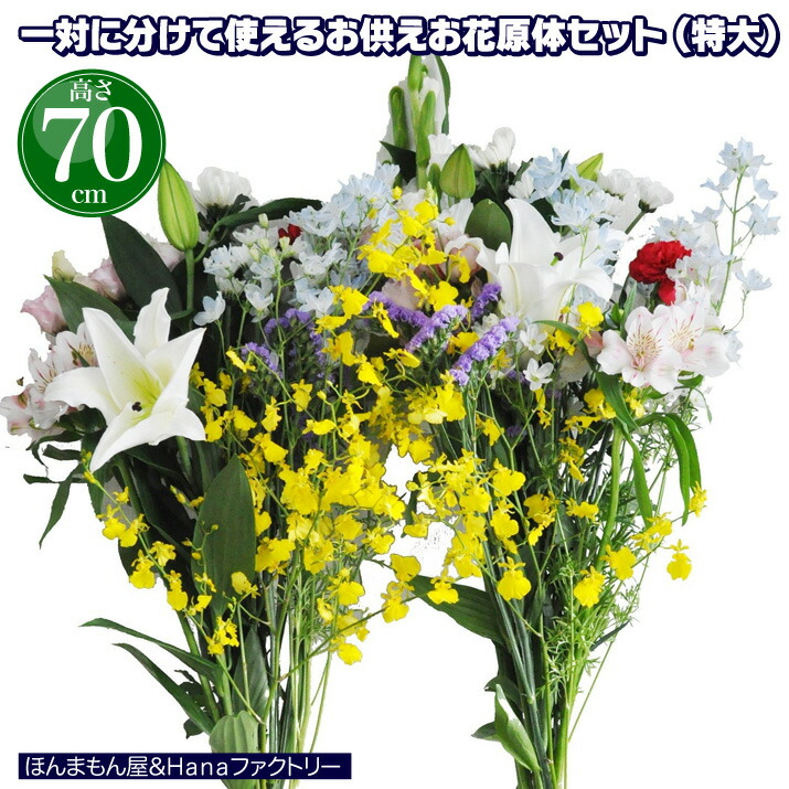 楽天市場】切り花 スプレーバラ 5本 お色おまかせ 切花 生花 スプレー薔薇 ばら : Ｈａｎａファクトリー