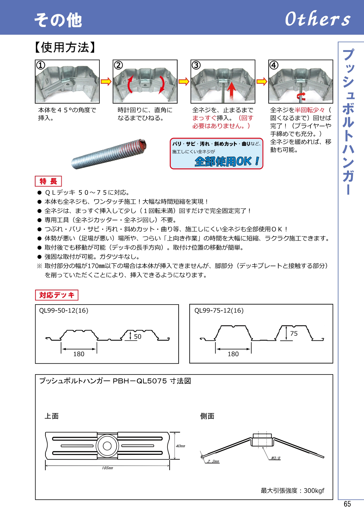 cds-global.dev2.sterlingdigital.co.uk - 佐野車輌 超重量級