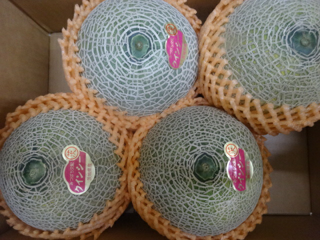 茨城産赤肉メロン1箱約5kg