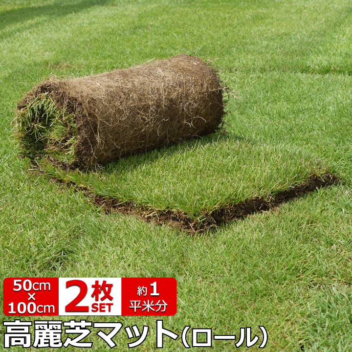 送料無料 芝生 高麗芝 2ロール 50cm 1m マット 約1平米分 天然芝 芝生 ロール芝 夏芝 庭 ガーデニング こうらいしば お庭の芝生としては ポピュラーな日本芝 置くだけ簡単なロール状芝生にお得な2ロール入りが新登場 2ロール 1ロールあたりのサイズ