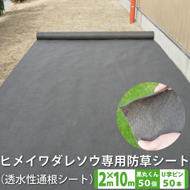 最安値に挑戦】 イノベックス 防草シート 1m×10m ツイストガード 12本セット 通販
