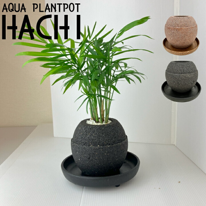 楽天市場】【送料無料】〈AQUA PLANTPOT〉HACHI (円) ソーサー付