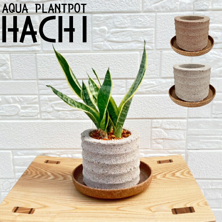 楽天市場】【送料無料】〈AQUA PLANTPOT〉HACHI (玉) ソーサー付
