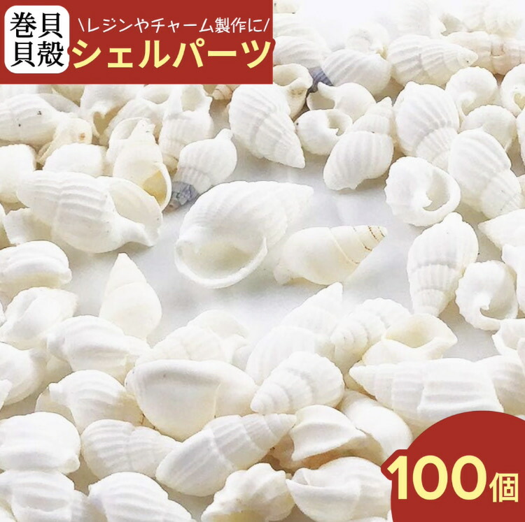 楽天市場】巻貝の貝殻 夏 マリン 海 サマー 夏休み 10g Kai-002