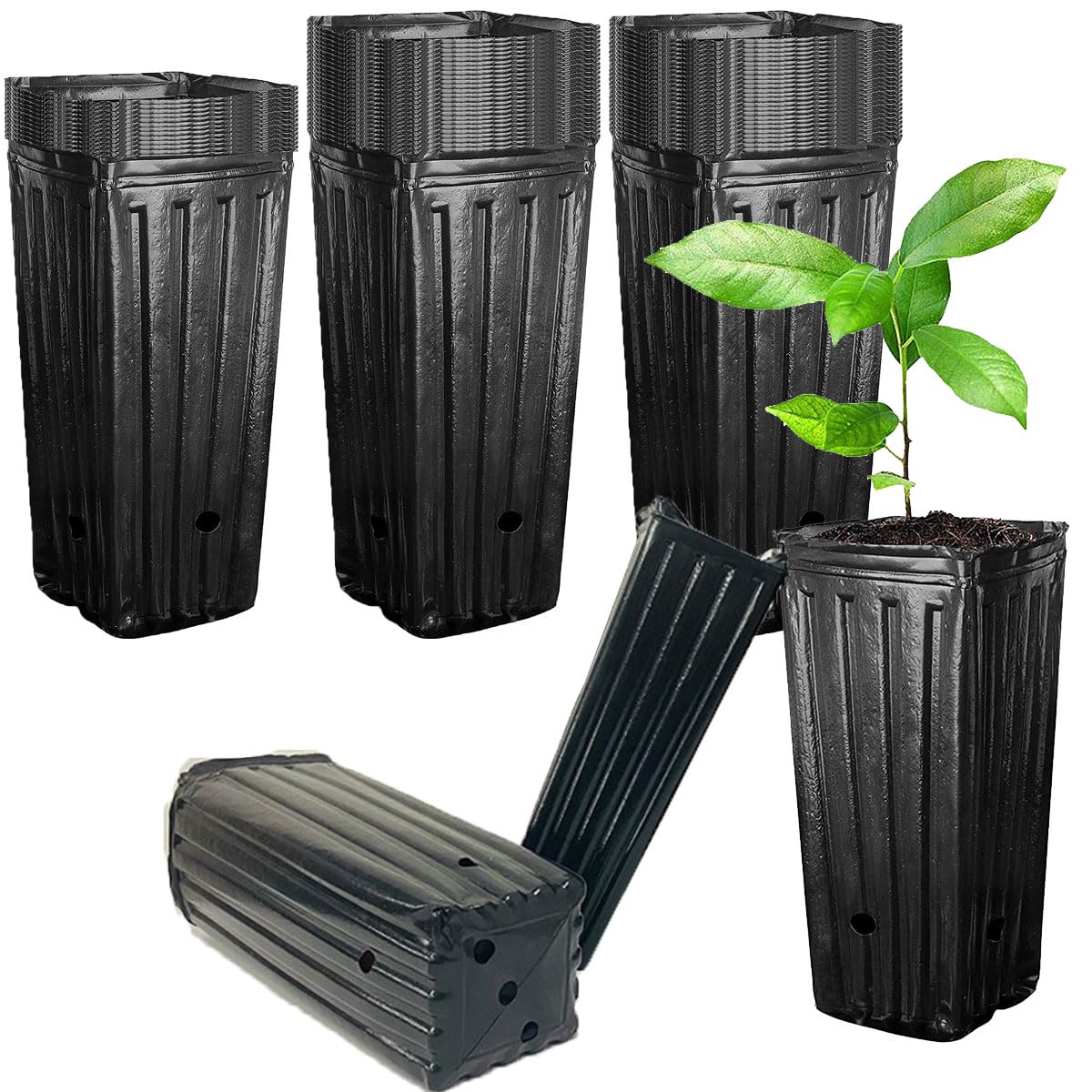 楽天市場】ポット 育苗ポット プランター 深型 ロング ポリポット