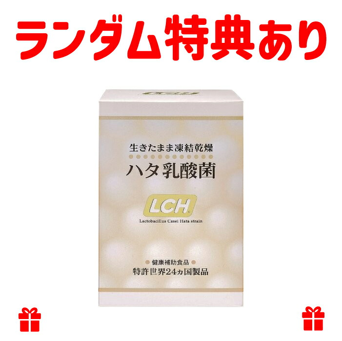 菌活倶楽部 2g×30包　２箱 楽天市場】1箱 30包入【NIHON MEDOC】菌活倶楽部 LCH＜サプリメント
