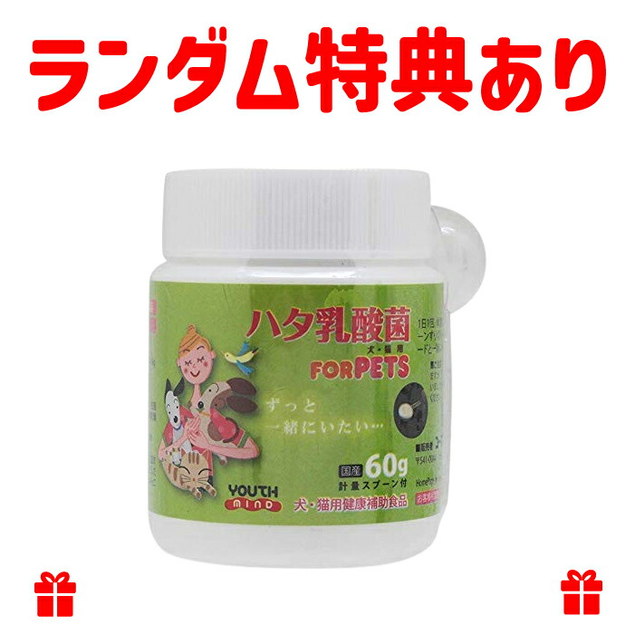 楽天市場】惚れ惚れウンコの素 11.0g×40包 正規販売店