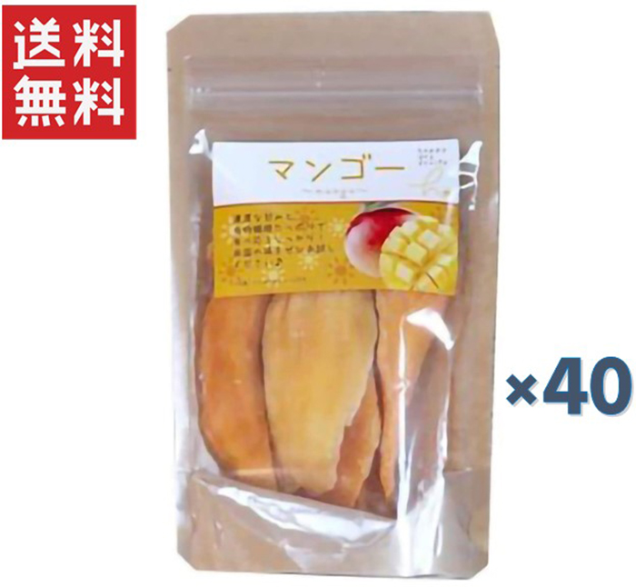 楽天市場】ハッピードライフルーツ HF ドライカットパイン 100g×40個