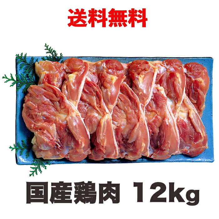 入園入学祝い 国産鶏肉 鶏もも肉 12kg 冷蔵 fucoa.cl