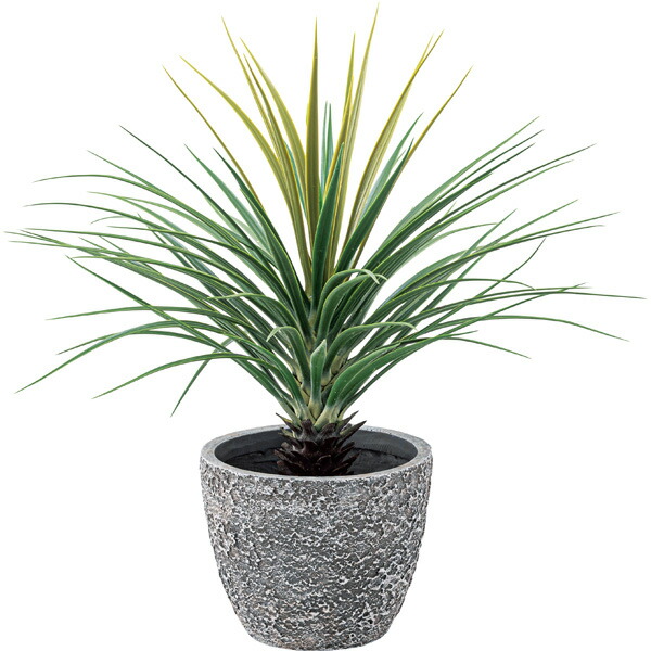 観葉植物 オシャレ リビング ガーデニング 緑 緑 大きめ 人気 植物 カフェ 新生活 スタイリッシュ 目隠し フェイクグリーン 北欧 癒し グリーン リビング 飾り 屋内 模様替え フェイクグリーン ミニパイナップル 観葉植物 植物 緑 グリーン 癒し 植木 おしゃれ 観葉植物 オシャレ リビング ガーデニング 緑 緑 大きめ 人気 植物 カフェ 新生活 スタイリッシュ 目隠し フェイクグリーン 北欧 癒し グリーン リビング 飾り 屋内 模様替え フェイクグリーン ミニパイナップル 観葉植物 植物 緑 グリーン 癒し 植木 おしゃれ