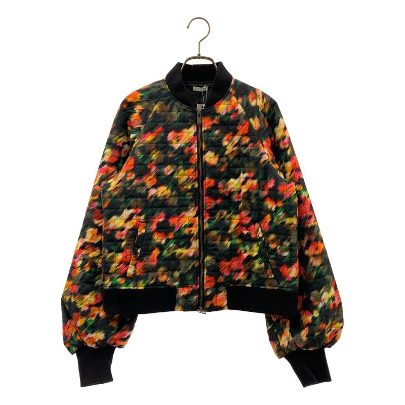 【美品】  TELMA / テルマ | グラフィック刷り上げる 上衣 | 36 | マルチ色つや | レディース