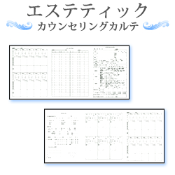 楽天市場 エステティックカウンセリングカルテ 判両面 6ページ構成 50枚入 美容商材 カウセリングシート 診断書 説明書 エステ フェイシャル 肌分析 フォトエステ 神戸メディケア