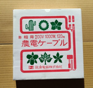 百貨店大売り出し