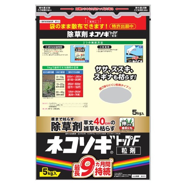 百貨店大売り出し