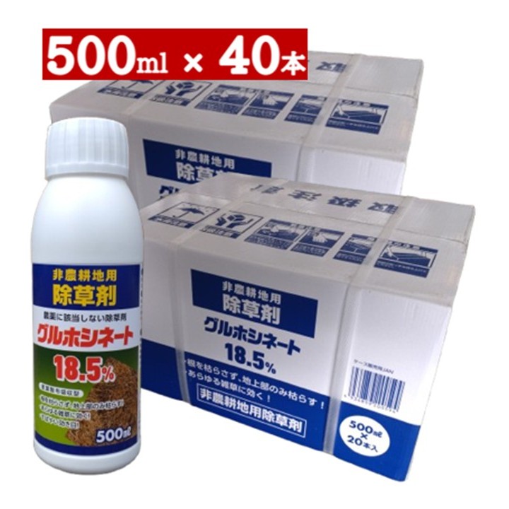 百貨店大売り出し