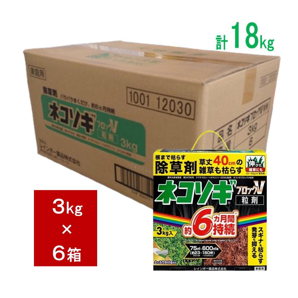 百貨店大売り出し