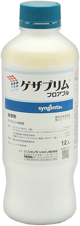 百貨店大売り出し
