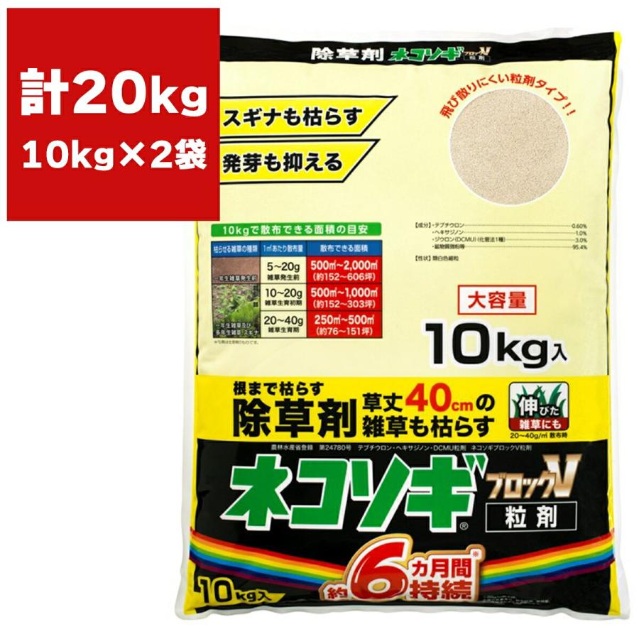 百貨店大売り出し