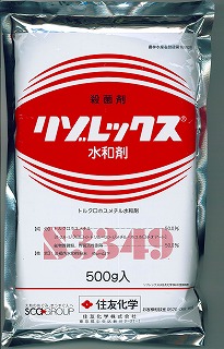 百貨店大売り出し