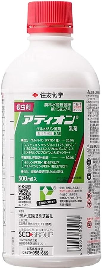 百貨店大売り出し
