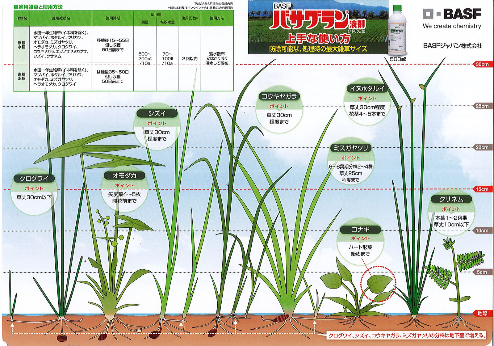 楽天市場 バサグラン液剤 ５００ｍｌ 農家の店 みのり