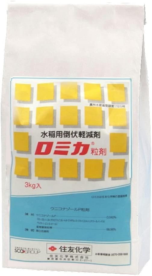 百貨店大売り出し