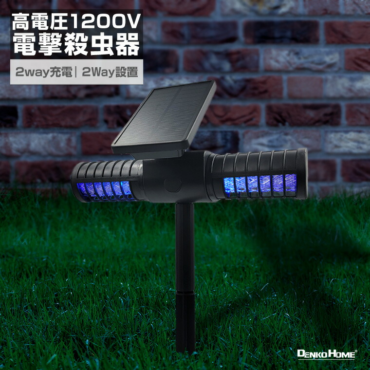 てんとう虫型　電動飛行機 てんとう虫型 電動飛行機